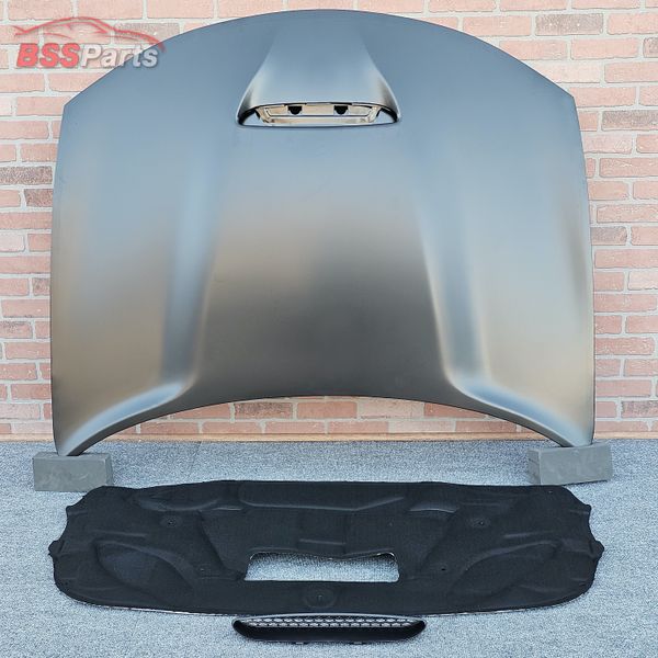 2015-2023 Dodge Charger / Daytona style Aluminum Hood with vented bezel