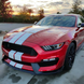 2015-2017 Ford Mustang / GT350 Style Aluminum Hood